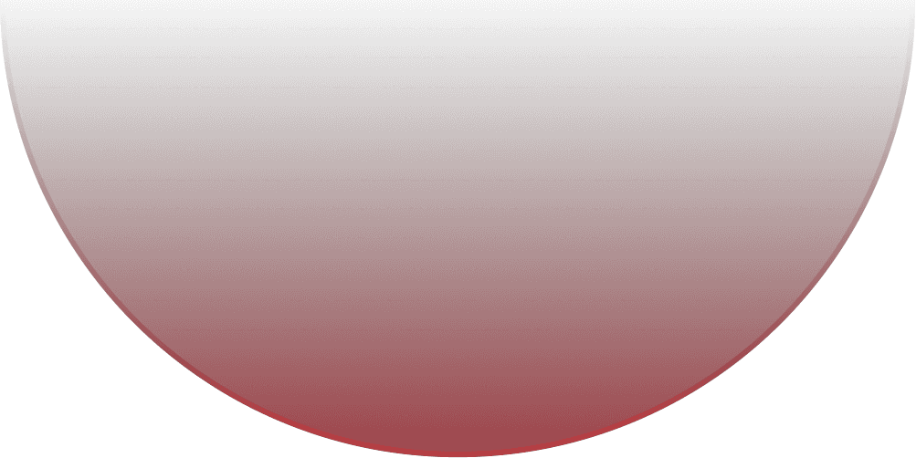 Speech Recognition Voice AI