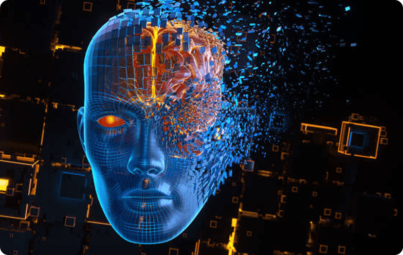 Domain Adaptation Challenges