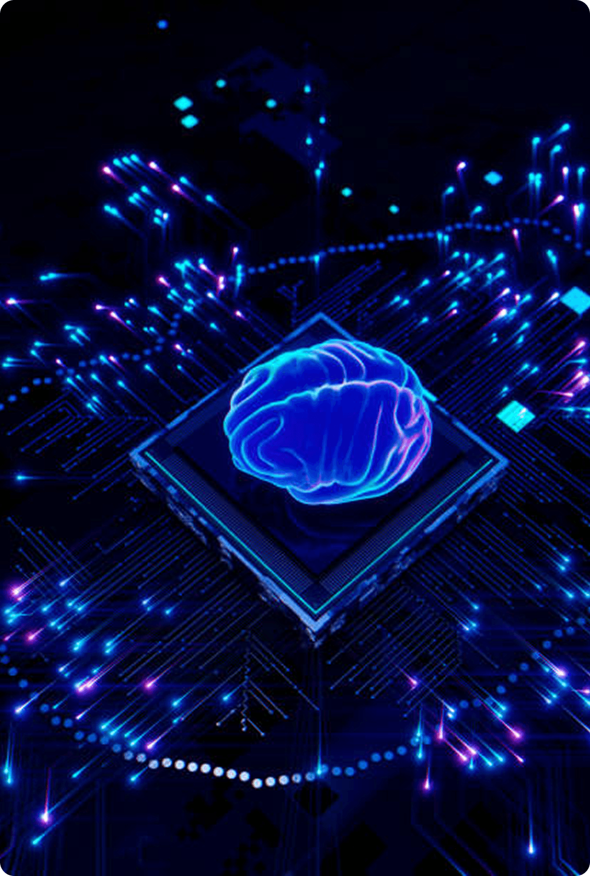 Neural Network Visualization