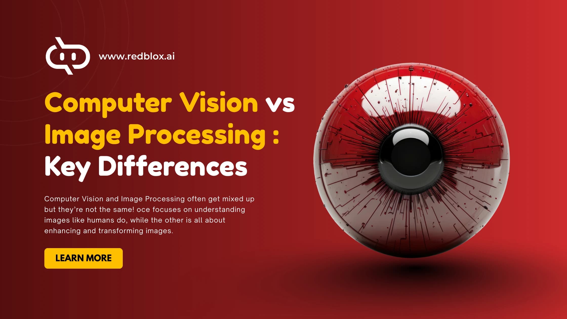 Computer Vision vs Image Processing: Key Differences Explained